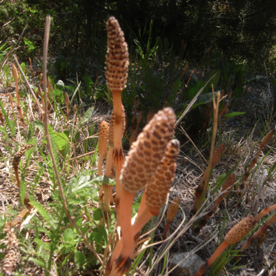 c0026612_511011.jpg