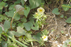 f0217217_91066.jpg