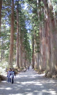 ♪戸隠神社そして鏡池は最高でした！！_b0112319_1756753.jpg