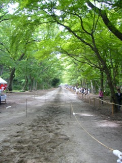f0143521_1162281.jpg