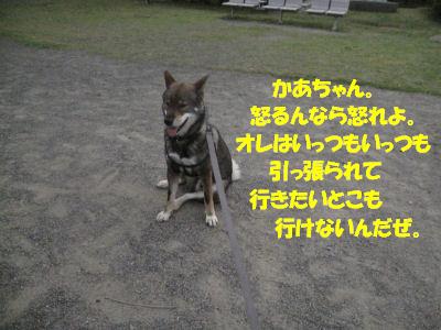 f0143123_20125241.jpg