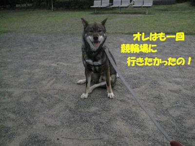 f0143123_20131746.jpg