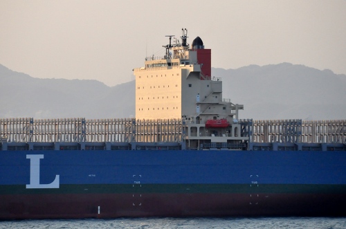 MOL MAGNIFICENCE_e0158925_155261.jpg