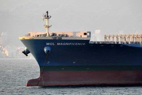 MOL MAGNIFICENCE_e0158925_16145.jpg
