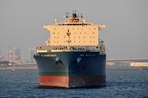 MOL MAGNIFICENCE_e0158925_163912.jpg