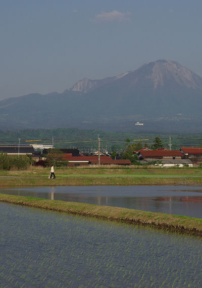 夕暮れさんぽ_f0007926_1715187.jpg