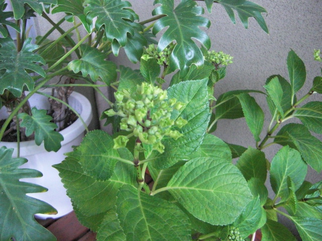 f0195326_21513998.jpg