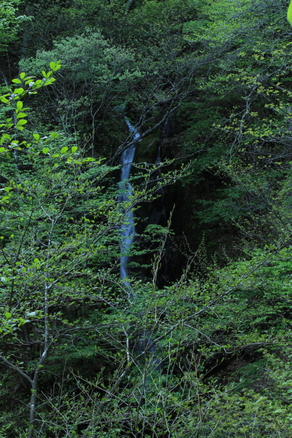 c0215627_8312998.jpg