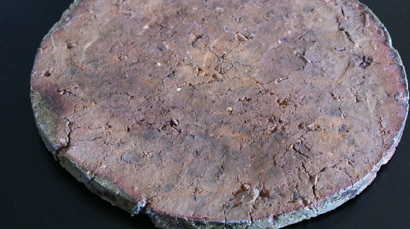 c0203328_1825415.jpg