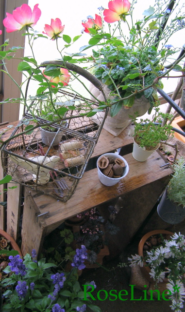 f0238135_1211441.jpg