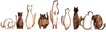 e0156036_743687.gif