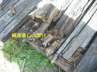 濡れ縁解体作業_f0031037_18402560.jpg