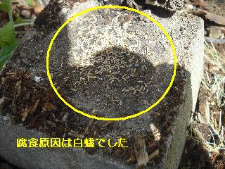 濡れ縁解体作業_f0031037_18403789.jpg