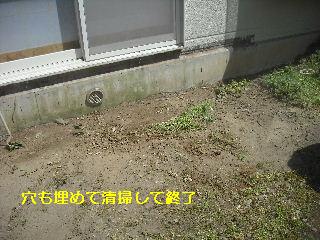 濡れ縁解体作業_f0031037_18411379.jpg