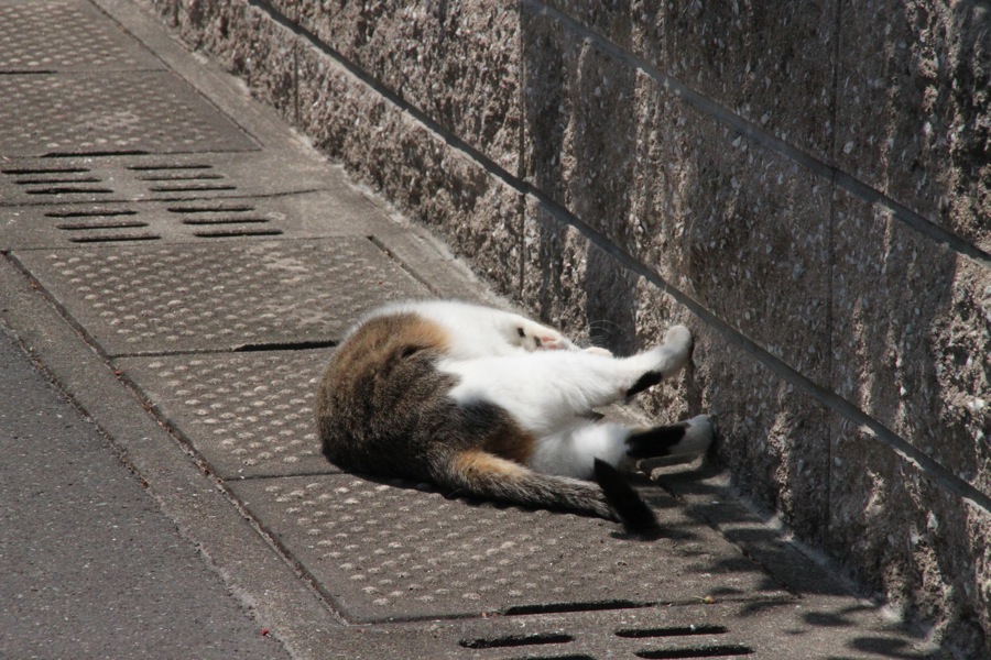 幸せサイキック_b0060239_23435925.jpg