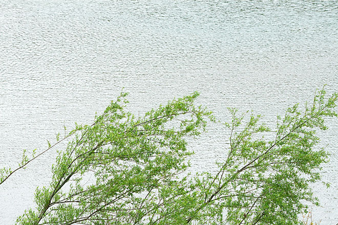c0067040_22535286.jpg