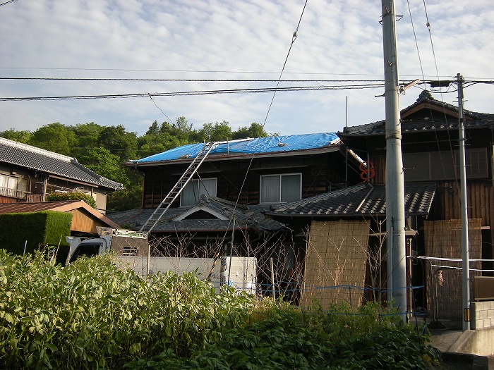 b0168041_174454.jpg