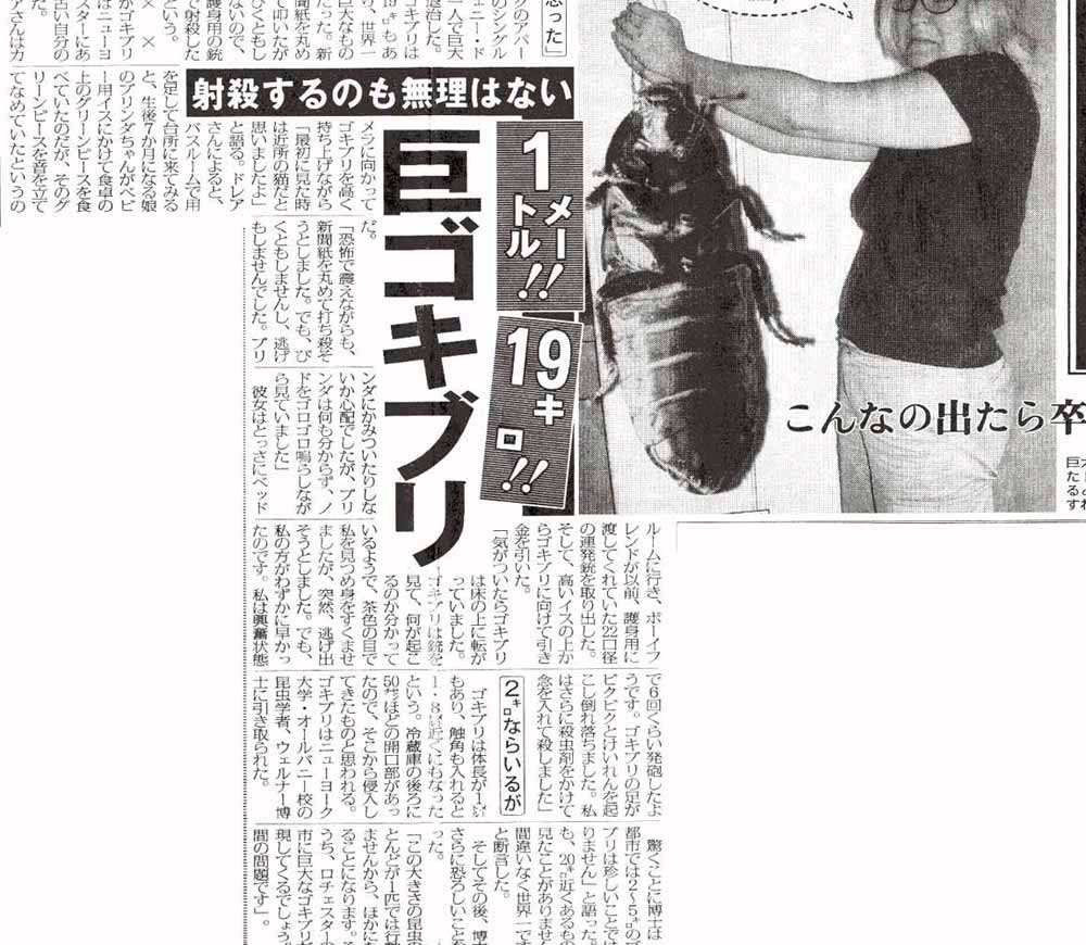 何だよこれwwwww 暇つぶしのウナギご飯 何だよこれwwwww 暇つぶしのウナギご飯