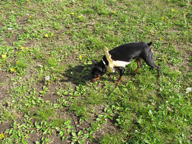 e0150843_0423330.jpg