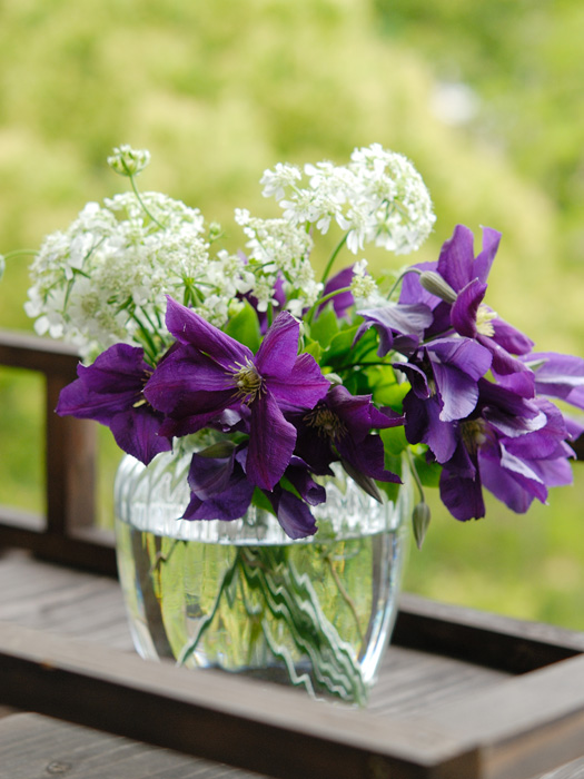 花_c0069247_23132058.jpg