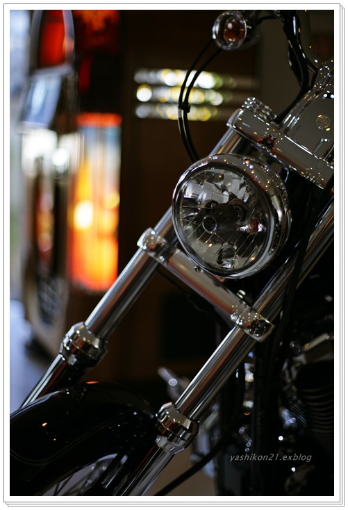 Harley Davidson　Ⅱ_a0136249_03888.jpg