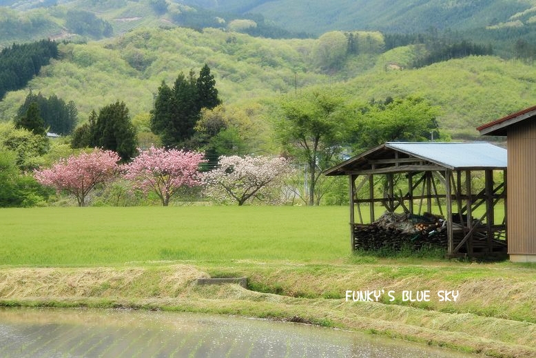 新緑の山歩き♪　【番外編！？】_c0145250_111042100.jpg