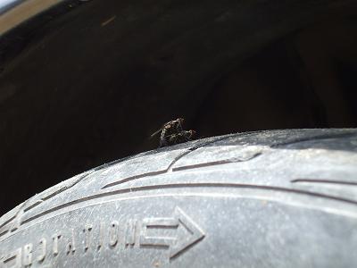 車両の大移動でした!_b0138552_20372830.jpg