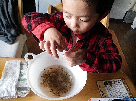 親子で同じ趣味!?_a0056654_1511217.jpg