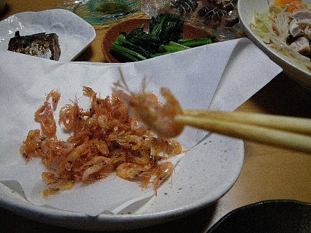 a0056654_15114441.jpg