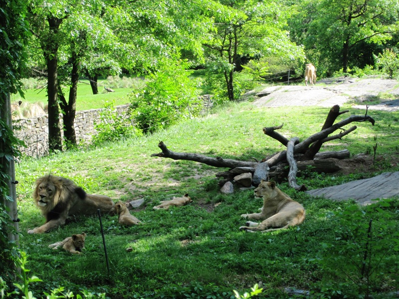 c0055857_1013495.jpg