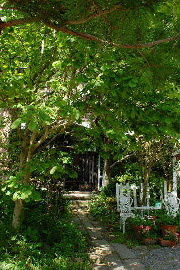 f0176458_22311310.jpg