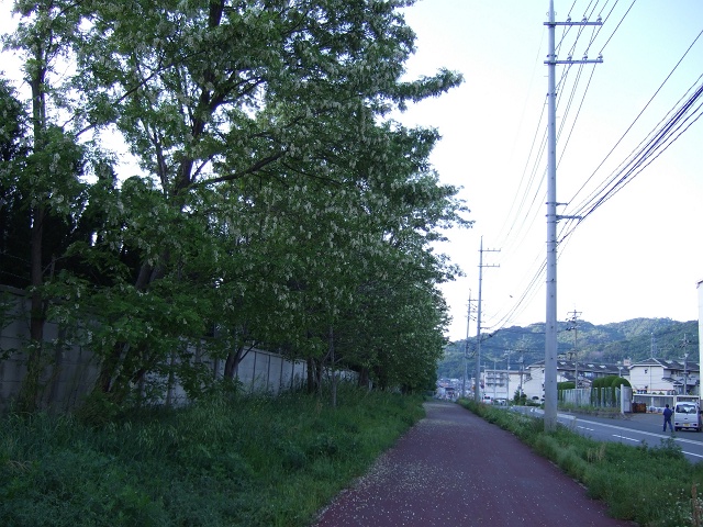 b0095061_855563.jpg