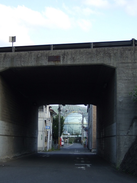 b0095061_8585876.jpg