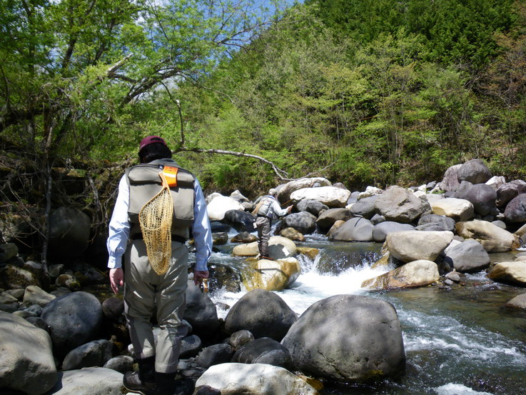 a0119562_226267.jpg