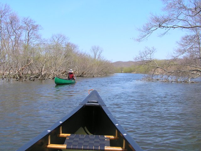 e0153062_10665.jpg