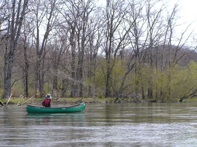 e0153062_11436.jpg