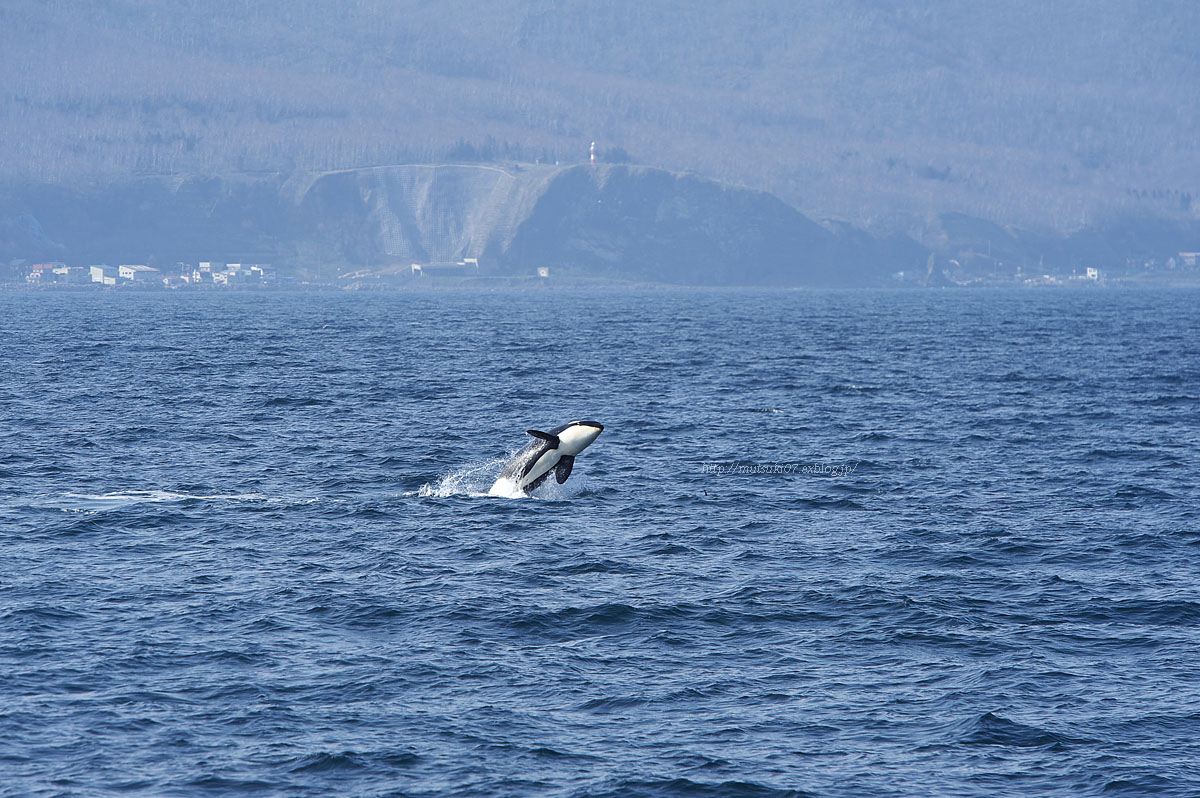 f0145362_18124310.jpg