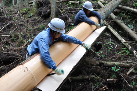 第８回　吉野の山を見るツアー_e0164563_1425085.jpg