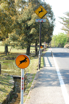 f0177964_138833.jpg