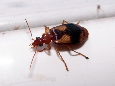 b0130166_2251288.jpg