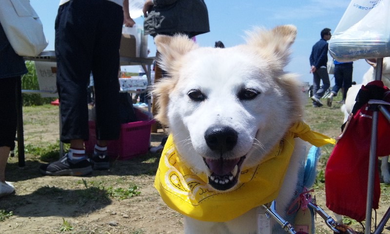 f0238772_0514738.jpg