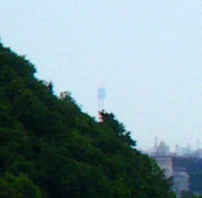 d0054076_1192280.jpg