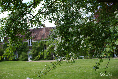 d0141376_34718.jpg
