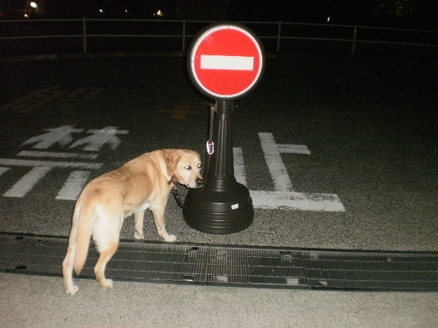 f0052277_0314550.jpg