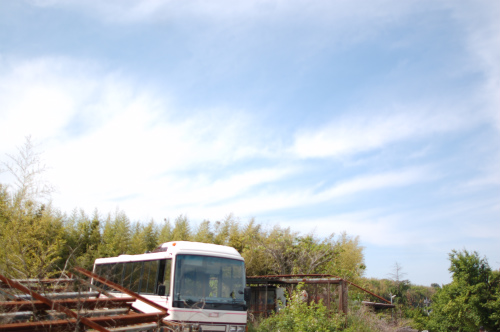 d0063278_1869.jpg