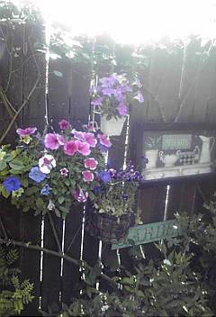 a0053480_9352942.jpg