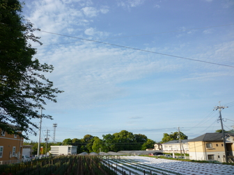 小さな空の写真展（五月の空）_f0221382_722530.jpg