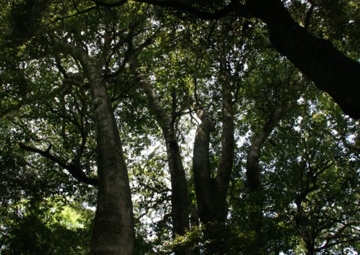 c0144185_15281521.jpg