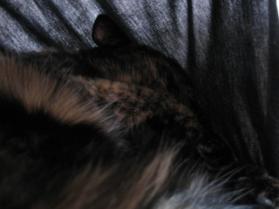 f0091785_20132024.jpg