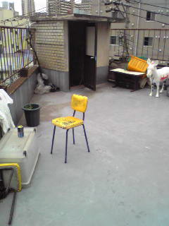 a0160389_17422739.jpg